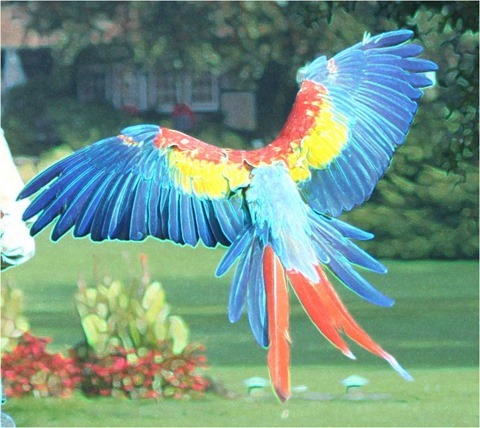 Edge Detect Sharpen Gradient, First Derivative, Threshold 0, Green and Blue