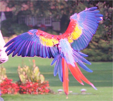 Edge Detect Sharpen Gradient, First Derivative, Threshold 0, Red and Blue