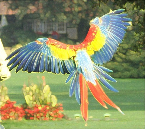 Edge Detect Sharpen Gradient, First Derivative, Threshold 0, Red and Green