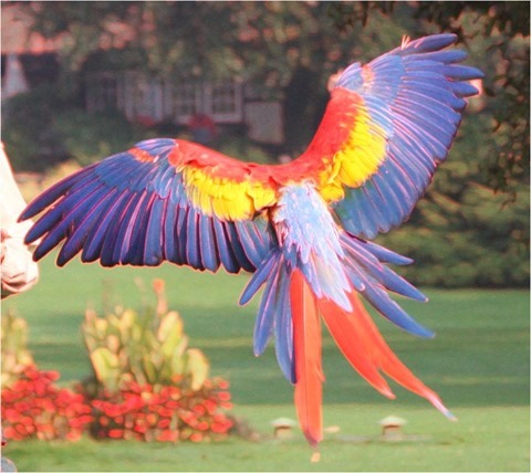 Edge Detect Sharpen Gradient, First Derivative, Threshold 0, Red