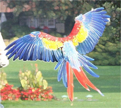 Edge Detect Sharpen Gradient, First Derivative, Threshold 0, White