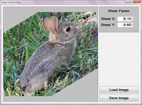 Image Transform Shear Sample Application