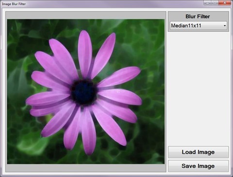 Image Blur Filter Sample Application