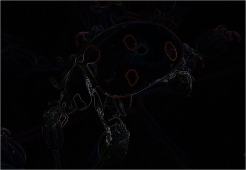 LadyBug Prewitt 3 x 3 x 8