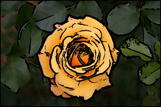 Mean 5x5 Threshold 37