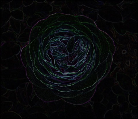 Rose Isotropic 3 x 3 x 8