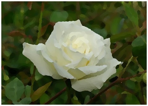 Rose Oil Painting Filter 15 Levels 30