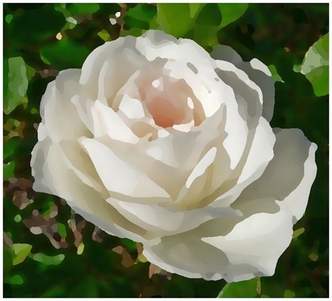 Rose Oil Painting Filter 15 Levels 10