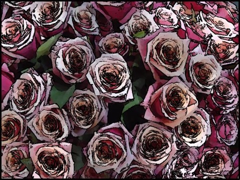 Roses Oil Painting Filter 11 Levels 60 Cartoon Threshold 80
