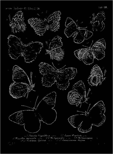 Sharpen10To8 Median 0 Threshold 0 Mono