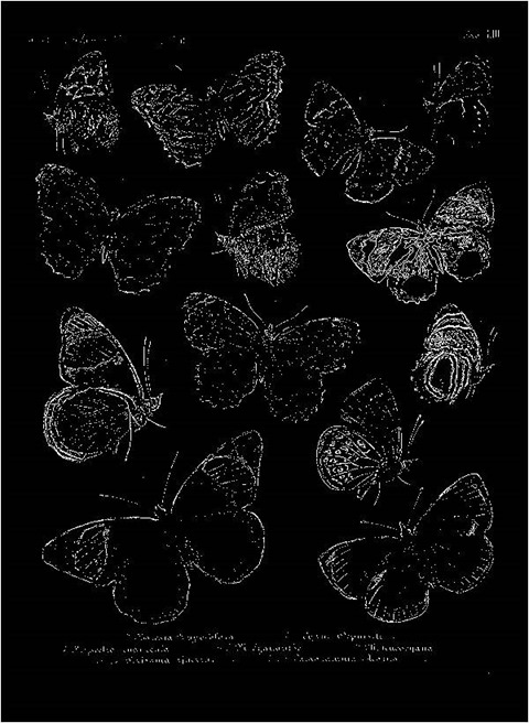 Sharpen11To8 Median 0 Threshold 0 Grayscale Mono
