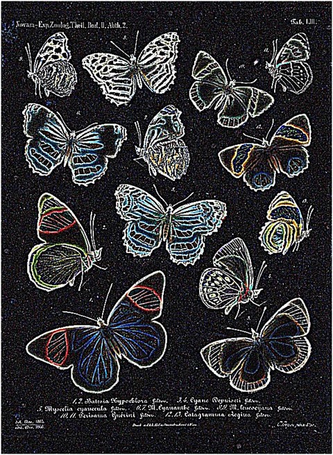 Sharpen24To1 Median 0 Threshold 0