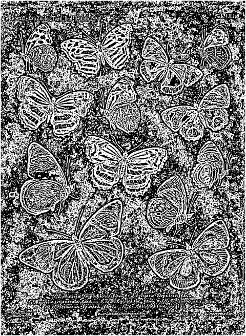 Sharpen24To1 Median 0 Threshold 0 Grayscale Mono