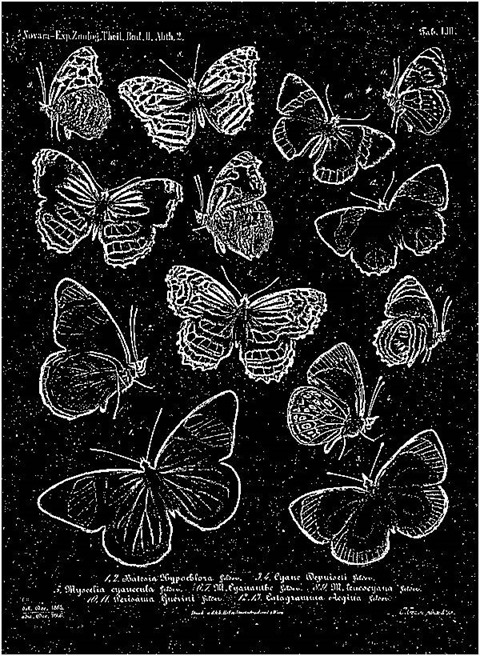 Sharpen24To1 Median 0 Threshold 21 Grayscale Mono