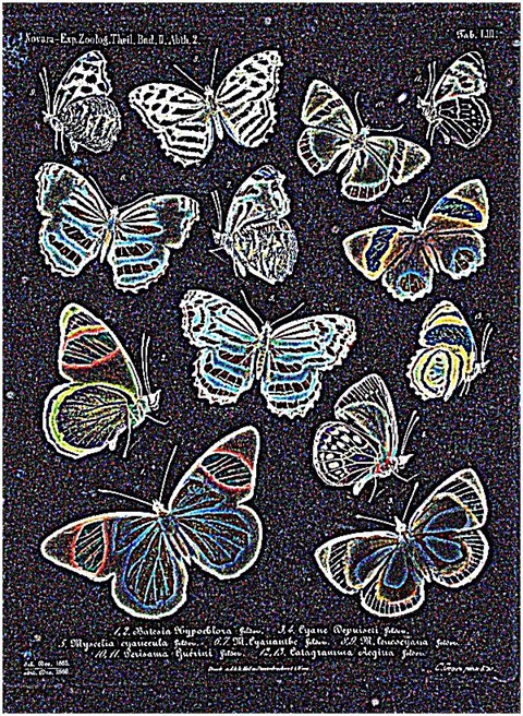 Sharpen48To1 Median 0 Threshold 0