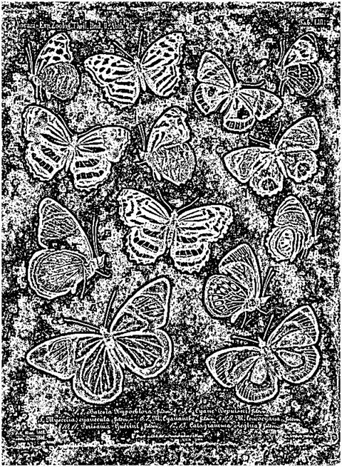 Sharpen48To1 Median 0 Threshold 0 Grayscale Mono