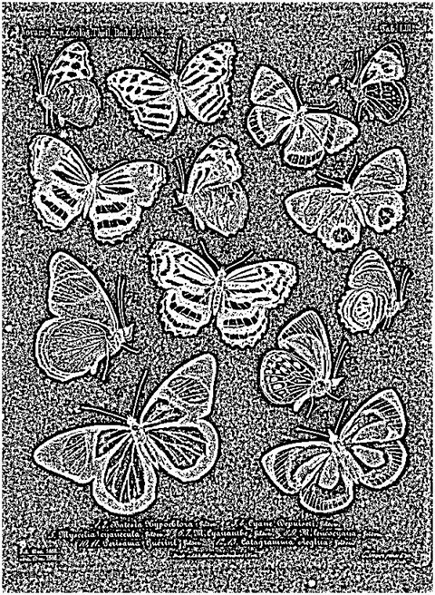 Sharpen48To1 Median 0 Threshold 0 Mono