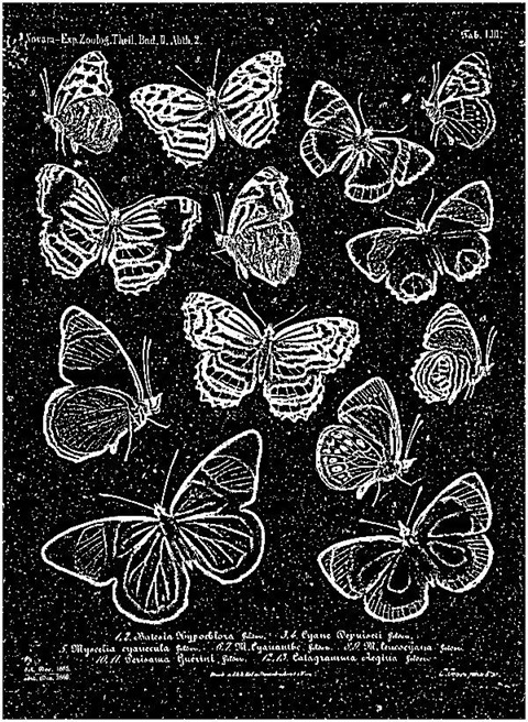 Sharpen48To1 Median 0 Threshold 226 Mono