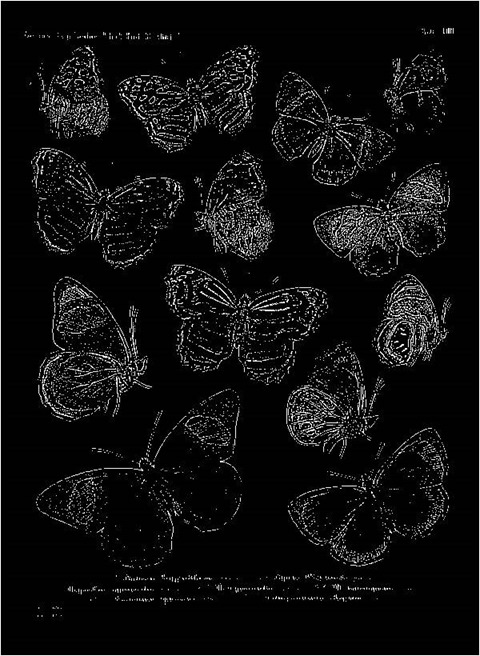 Sharpen7To1 Median 0 Threshold 0 Mono