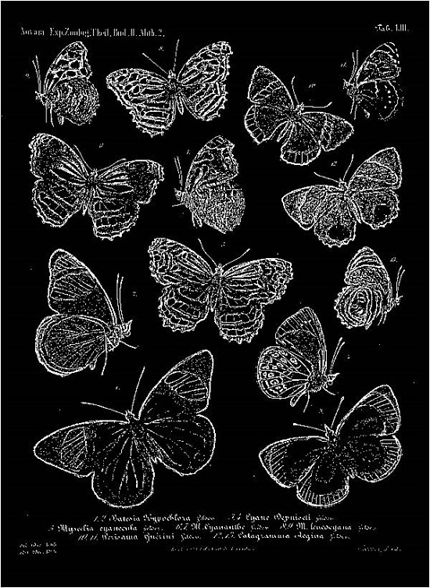 Sharpen9To1 Median 0 Threshold 0 Mono