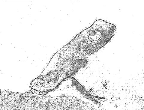 Frog: Kernel 3x3, Weight1 0.1, Weight2 1.8