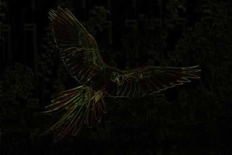 Parrot: Boundary Extraction, 3x3, Red, Green