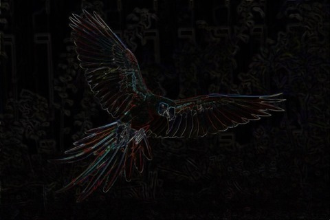 Parrot: Boundary Extraction, 3x3, Red, Green, Blue