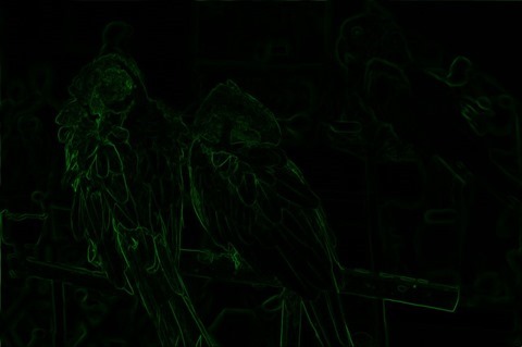 Parrot: Boundary Extraction, 3x3, Green