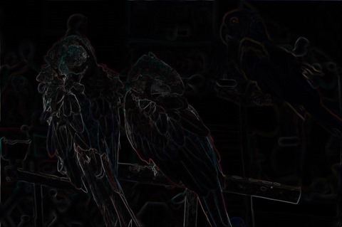 Parrot: Boundary Extraction, 3x3, Red, Green, Blue