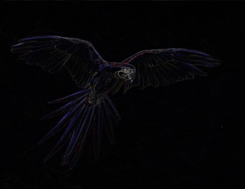 Parrot: Boundary Extraction, 3x3, Red, Green, Blue