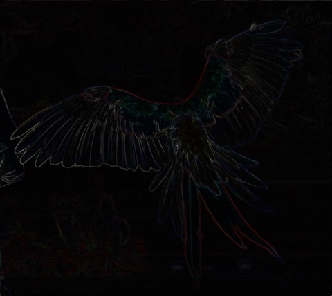 Parrot: Boundary Extraction, 3x3, Red, Greed, Blue