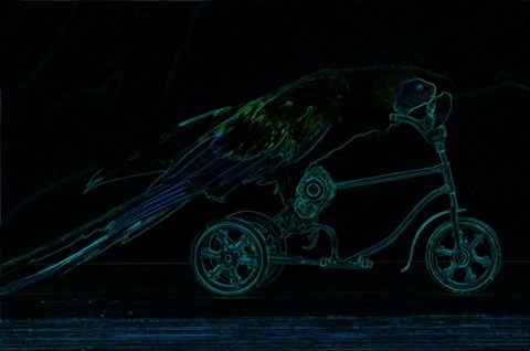 Parrot: Boundary Extraction, 3x3, Green, Blue