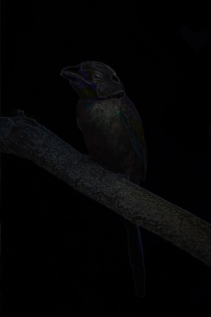 Parrot: Boundary Extraction, 3x3, Red, Green, Blue