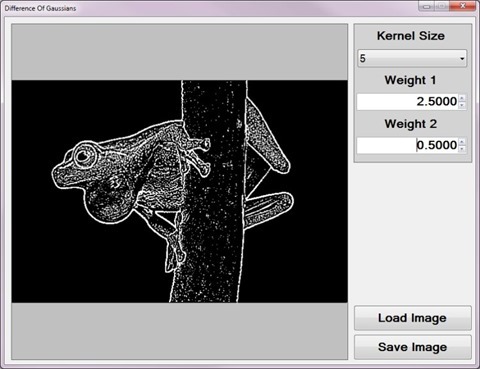 Weighted Difference Of Gaussians Sample Application