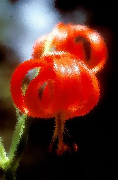 Flower: Distortion Factor 10