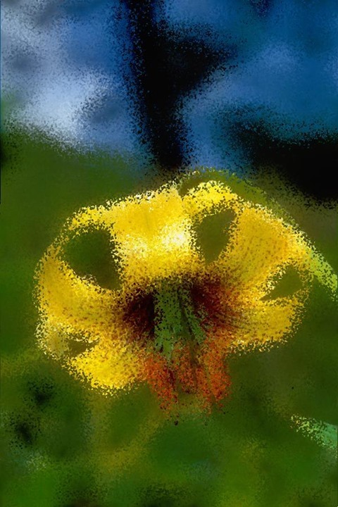 Flower: Distortion Factor 25