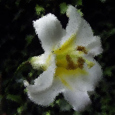 Flower: Distortion Factor 10