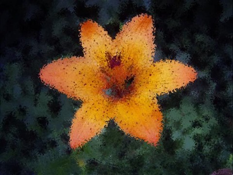 Flower: Distortion Factor 10