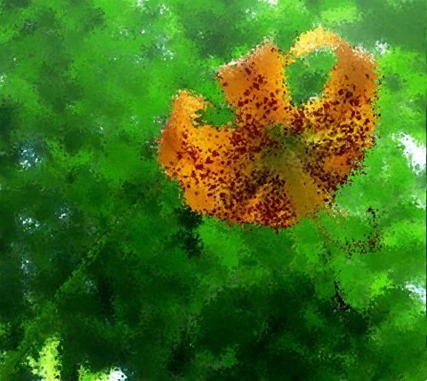 Flower: Distortion Factor 10