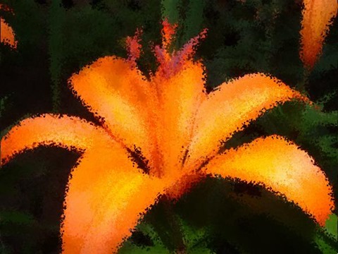 Flower: Distortion Factor 10