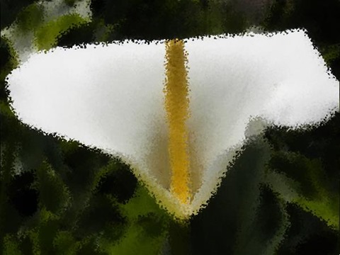 Flower: Distortion Factor 10