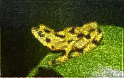 Frog: Filter Size 13x13
