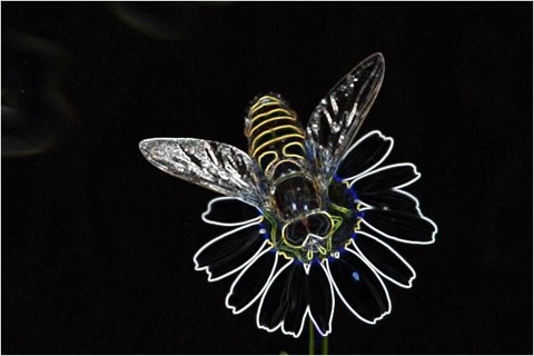 Bee Filter 3x3 Factor 5