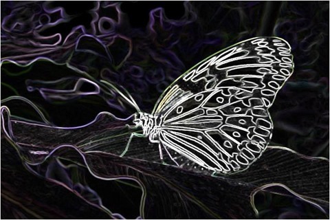 Butterfly Filter 3x3 Factor 4.5