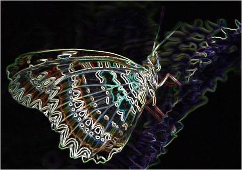 Butterfly Filter 3x3 Factor 5