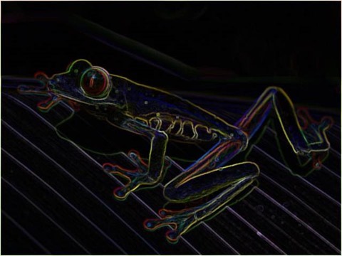 Frog Filter 3x3 Smoothed