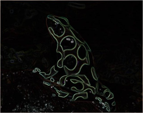 Frog2_Filter3x3_Smoothed